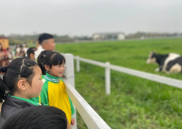 1617092666581425.jpg 43.jpg